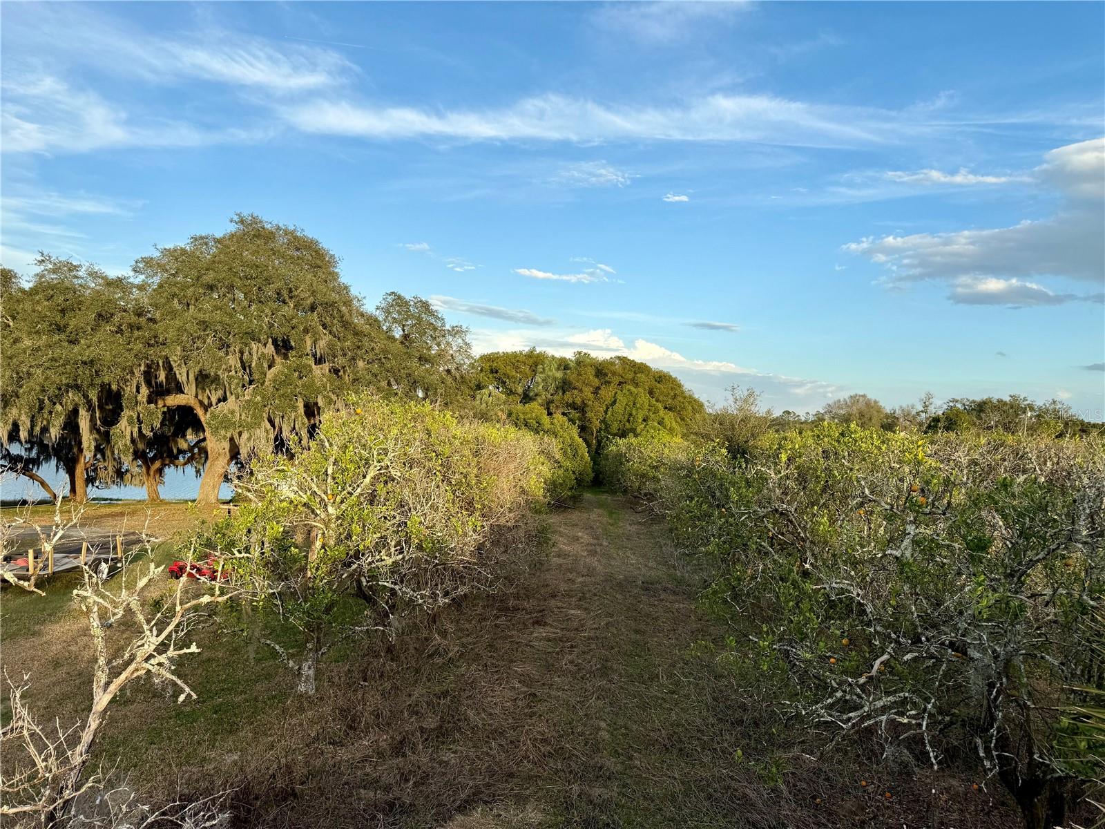0 SE 165TH AVE, WEIRSDALE, FL — photo 4
