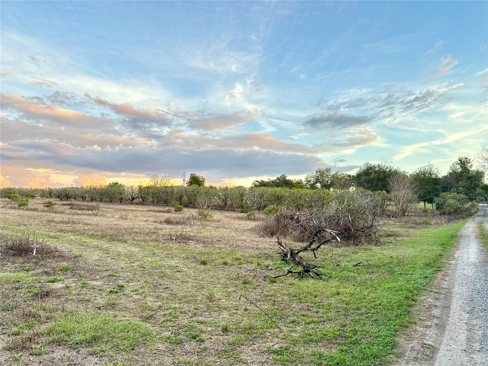 000 SE SE 165TH AVE, WEIRSDALE, FL
