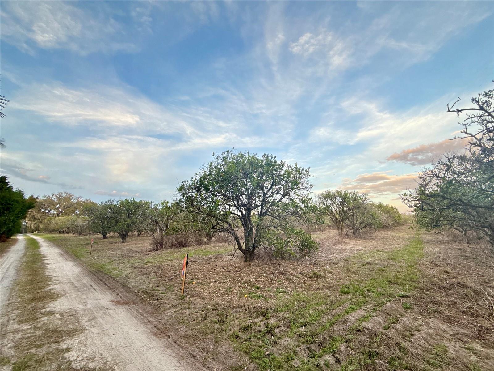 000 SE SE 165TH AVE, WEIRSDALE, FL — photo 2