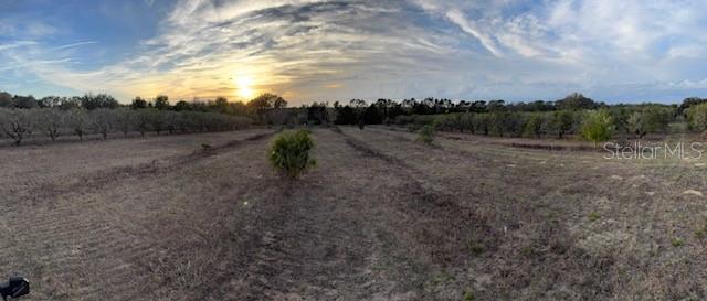 000 SE SE 165TH AVE, WEIRSDALE, FL — photo 3