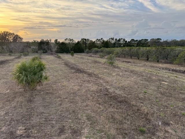 000 SE SE 165TH AVE, WEIRSDALE, FL — photo 4