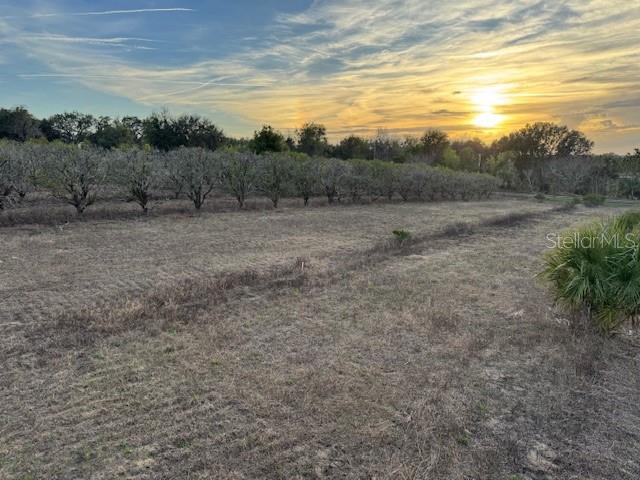 000 SE SE 165TH AVE, WEIRSDALE, FL — photo 5