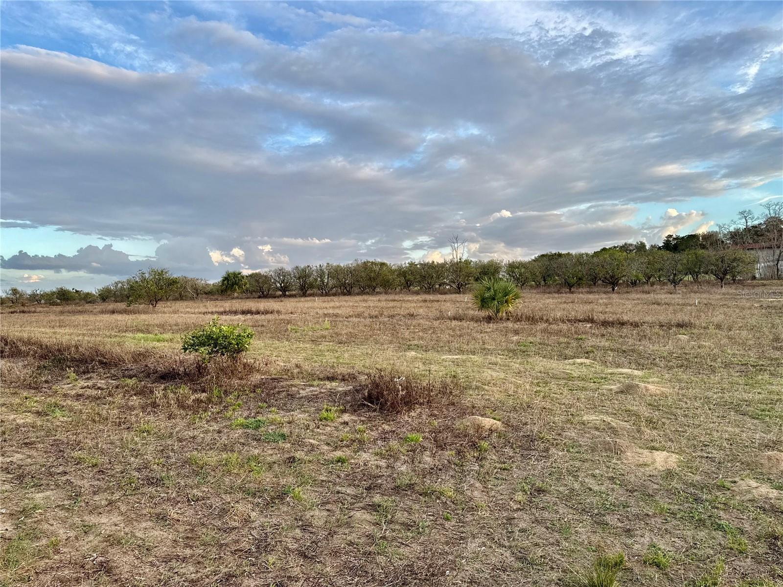 SE 165TH AVE, WEIRSDALE, FL