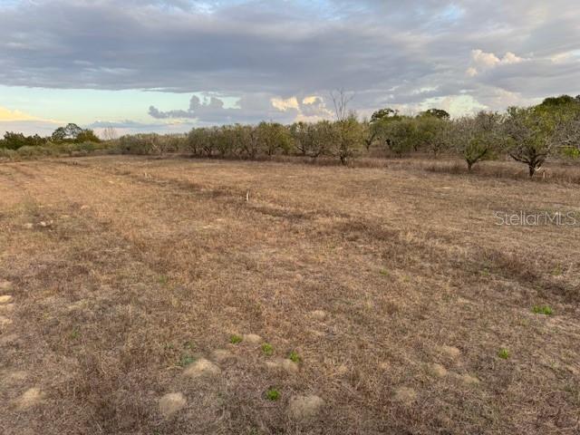 SE 165TH AVE, WEIRSDALE, FL — photo 2