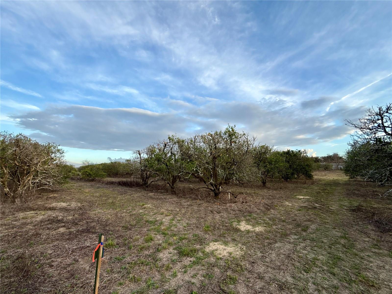 SE 165TH AVE, WEIRSDALE, FL — photo 3