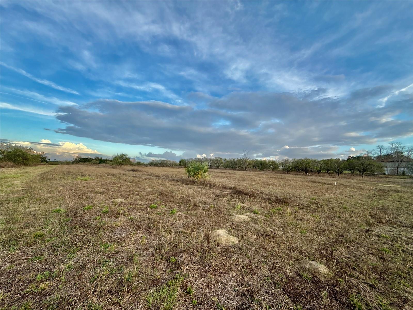 SE 165TH AVE, WEIRSDALE, FL — photo 4