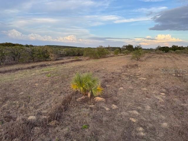 SE 165TH AVE, WEIRSDALE, FL — photo 5