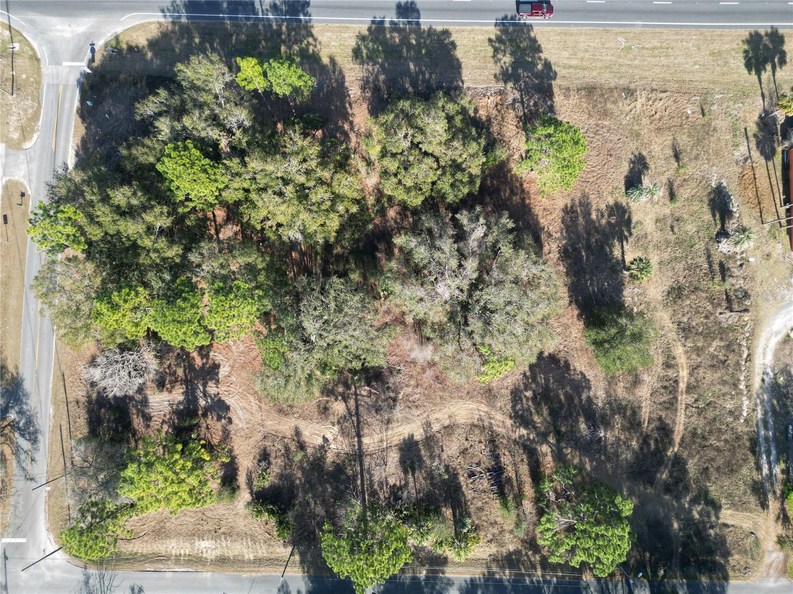 12441 SE 72ND AVE, BELLEVIEW, FL — photo 10