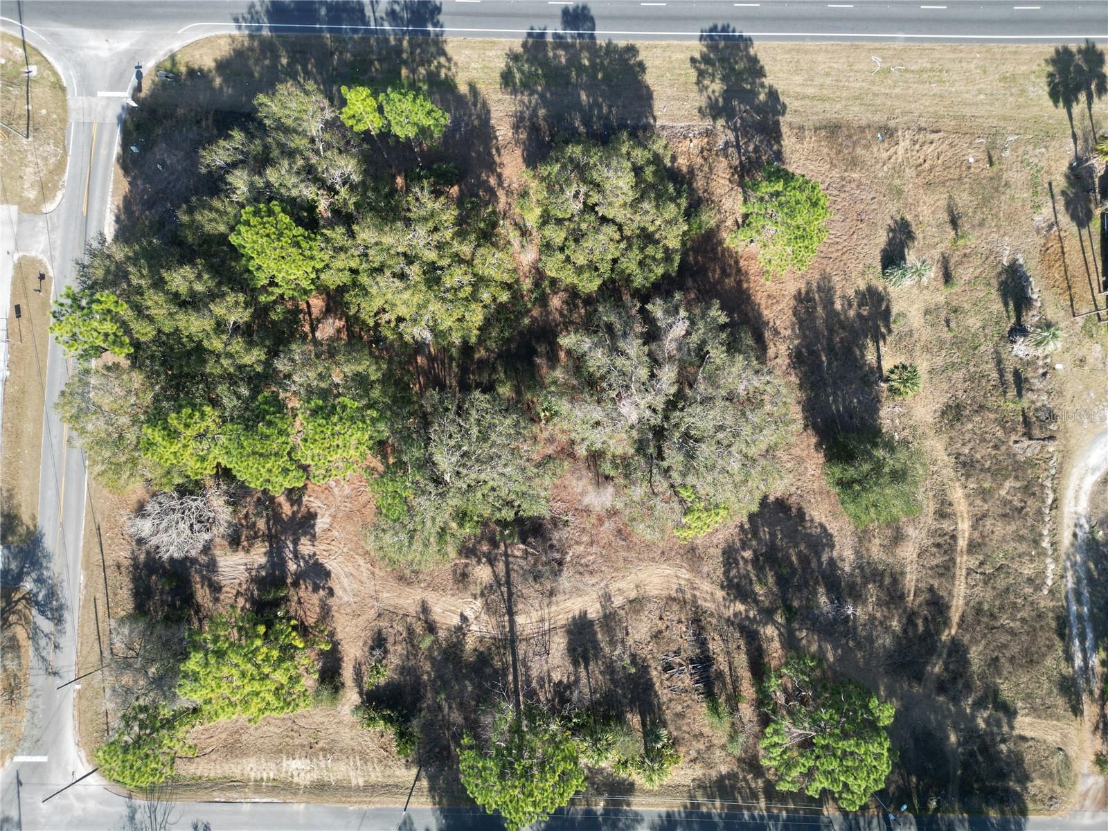 12441 SE 72ND AVE, BELLEVIEW, FL — photo 11