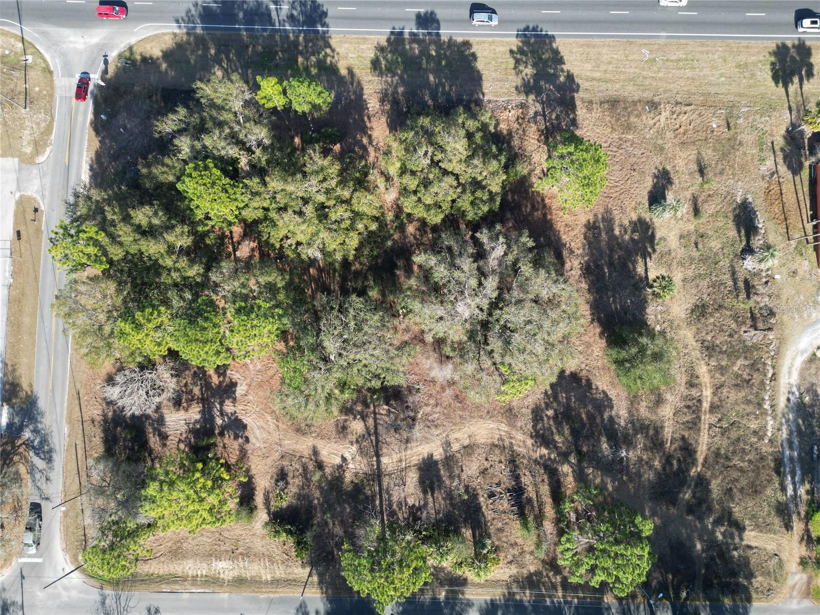 12441 SE 72ND AVE, BELLEVIEW, FL — photo 12