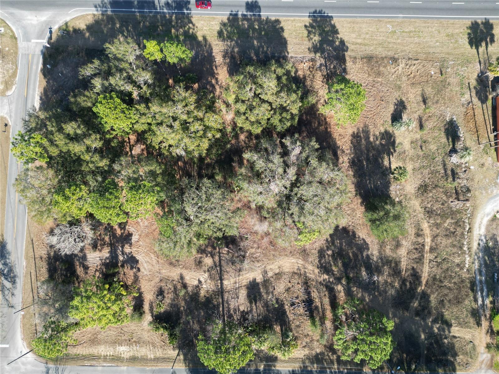 12441 SE 72ND AVE, BELLEVIEW, FL — photo 13