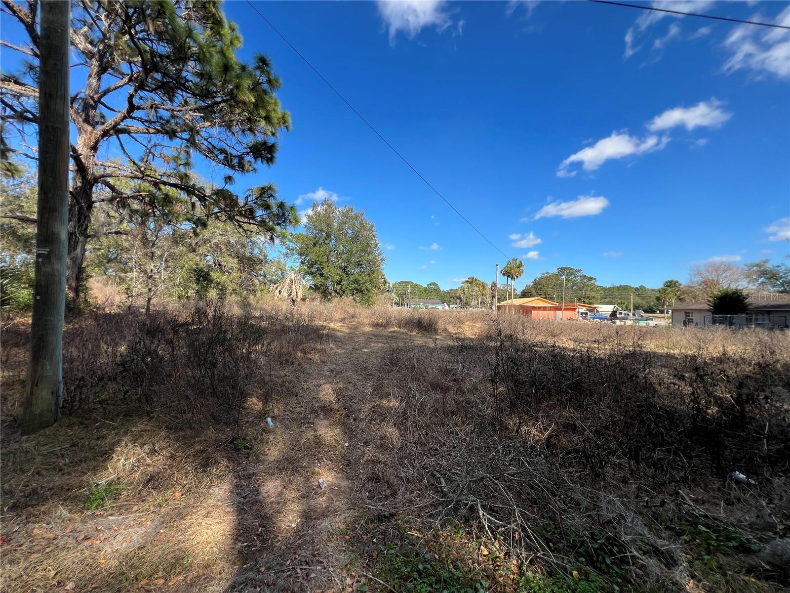 12441 SE 72ND AVE, BELLEVIEW, FL — photo 21