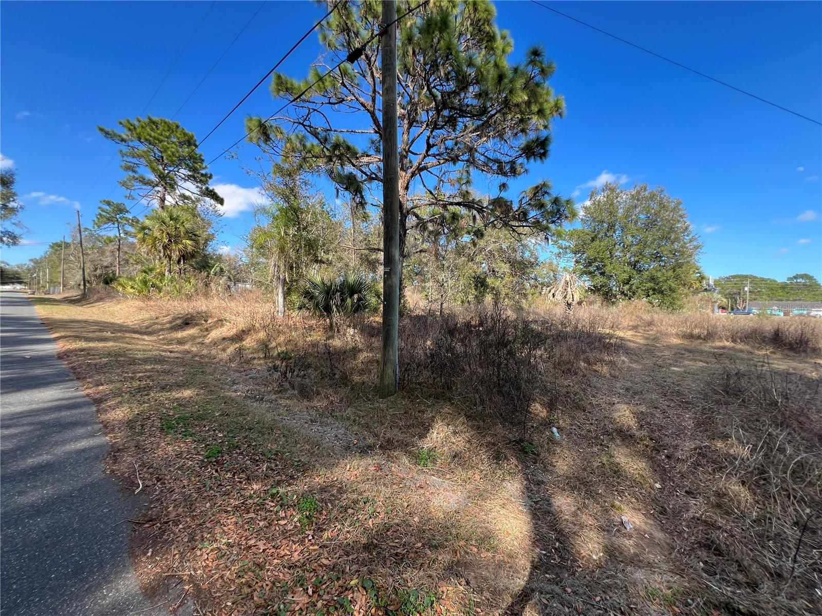 12441 SE 72ND AVE, BELLEVIEW, FL — photo 22