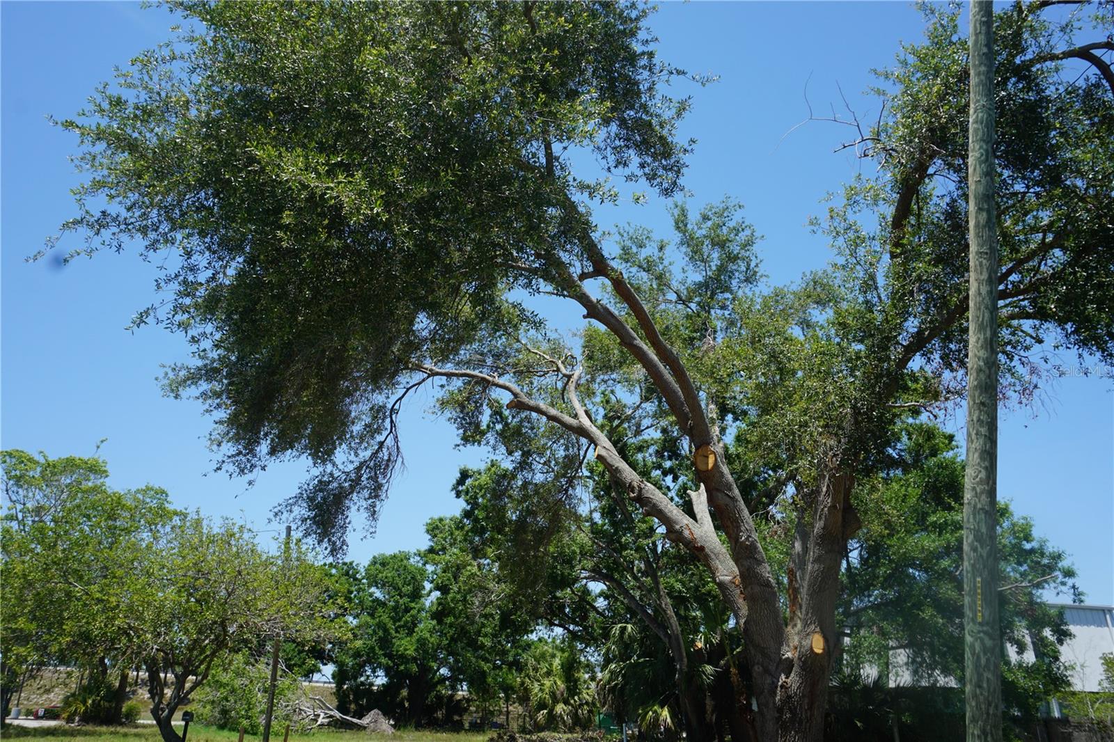 0 74TH AVE N, PINELLAS PARK, FL — photo 16