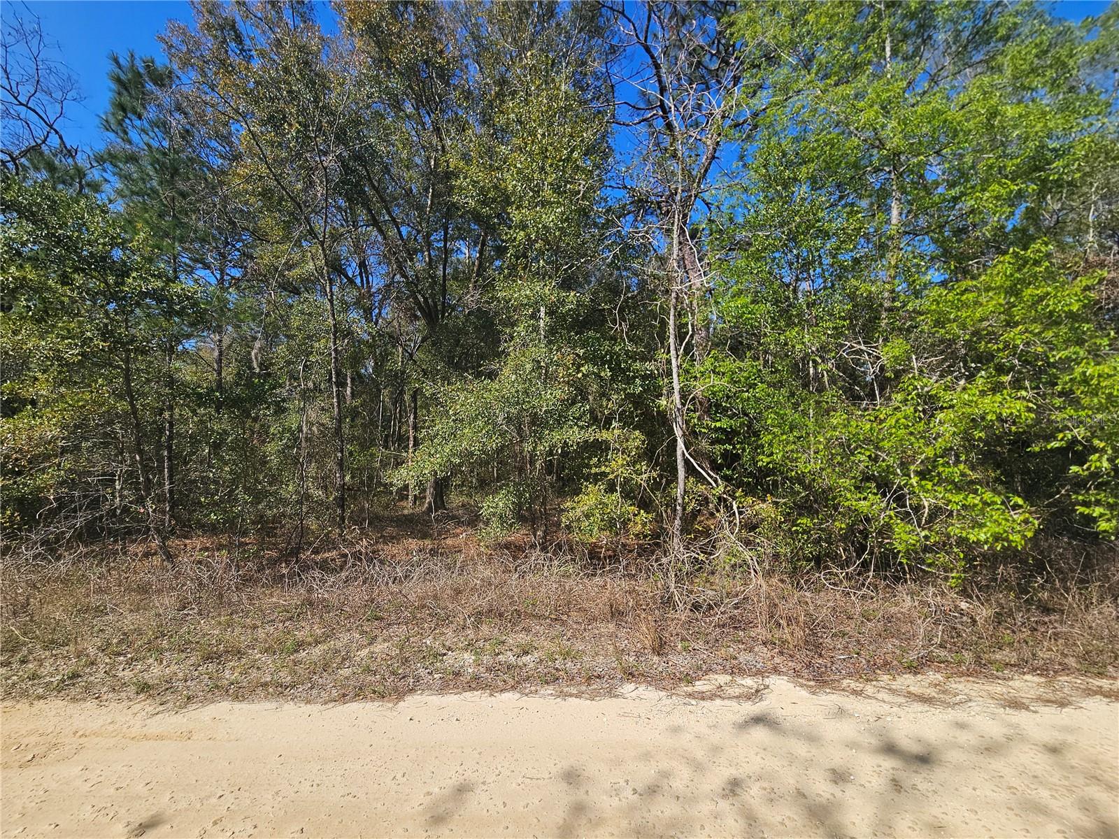 1790 NE 156TH TER, WILLISTON, FL — photo 7