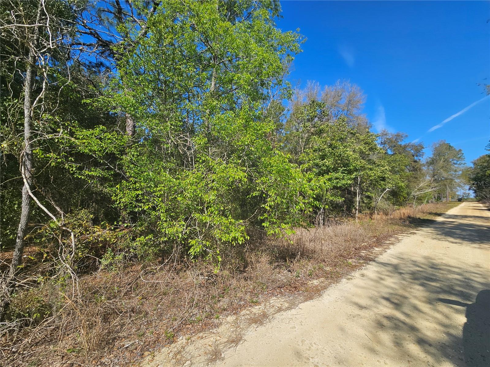 1790 NE 156TH TER, WILLISTON, FL