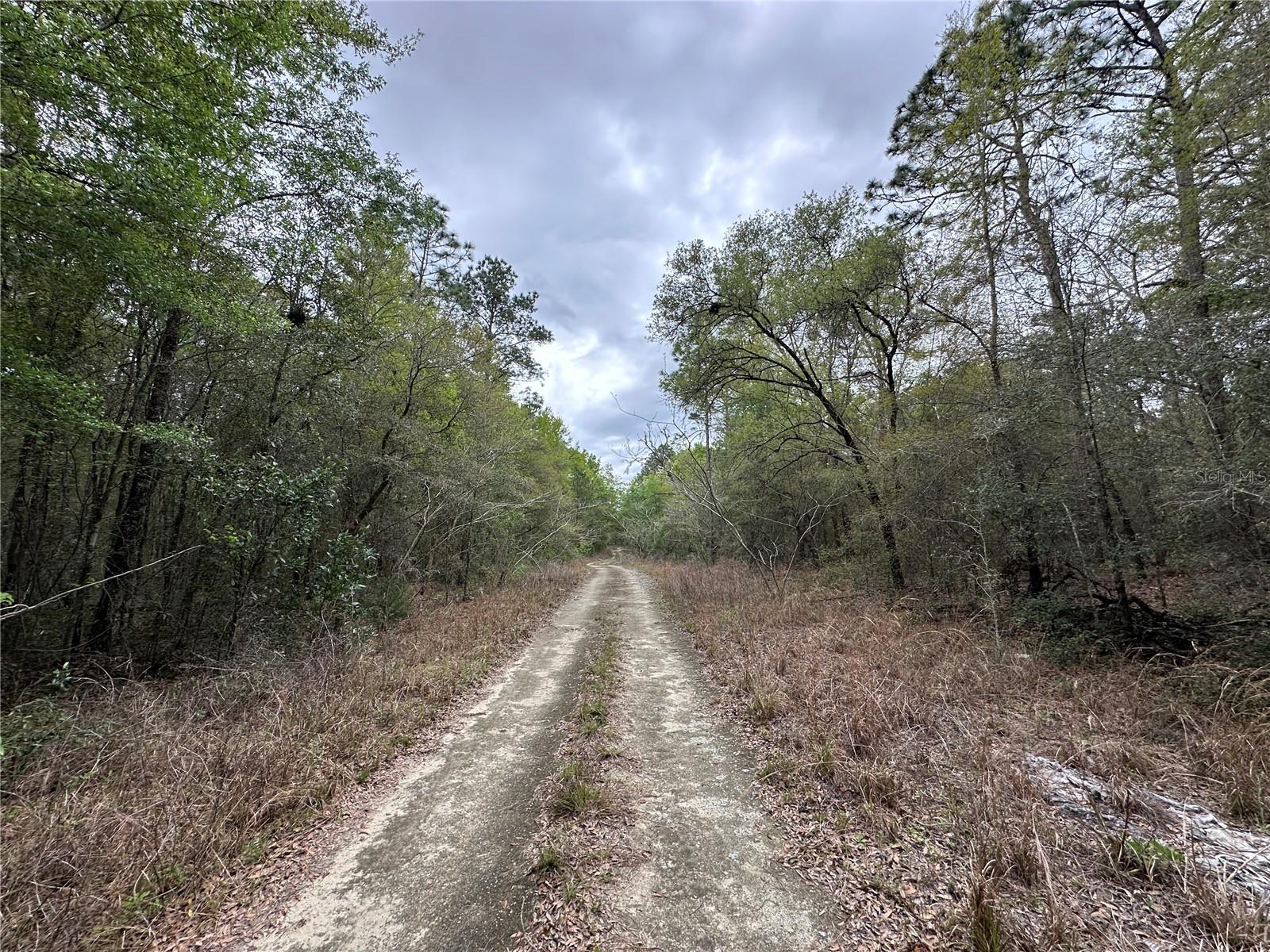 tbd NE 154TH AVE, WILLISTON, FL