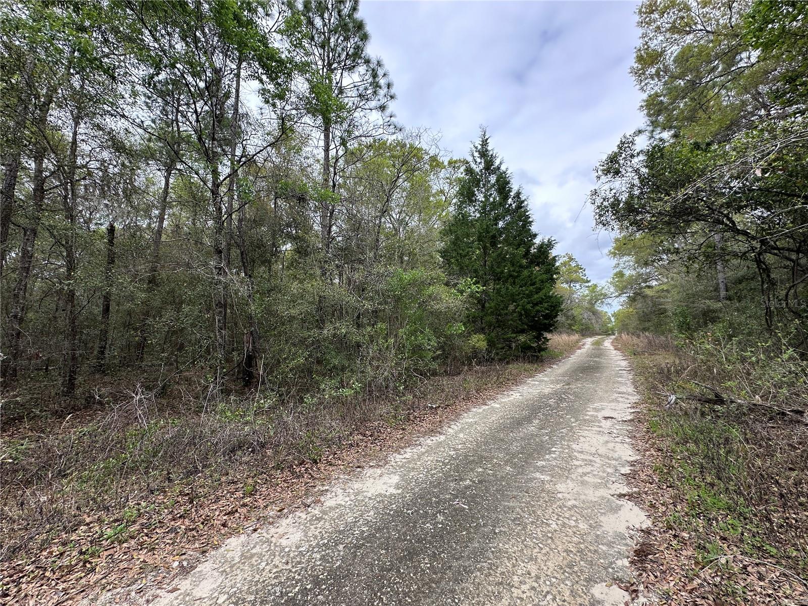 176 NE 155TH CT, WILLISTON, FL — photo 2