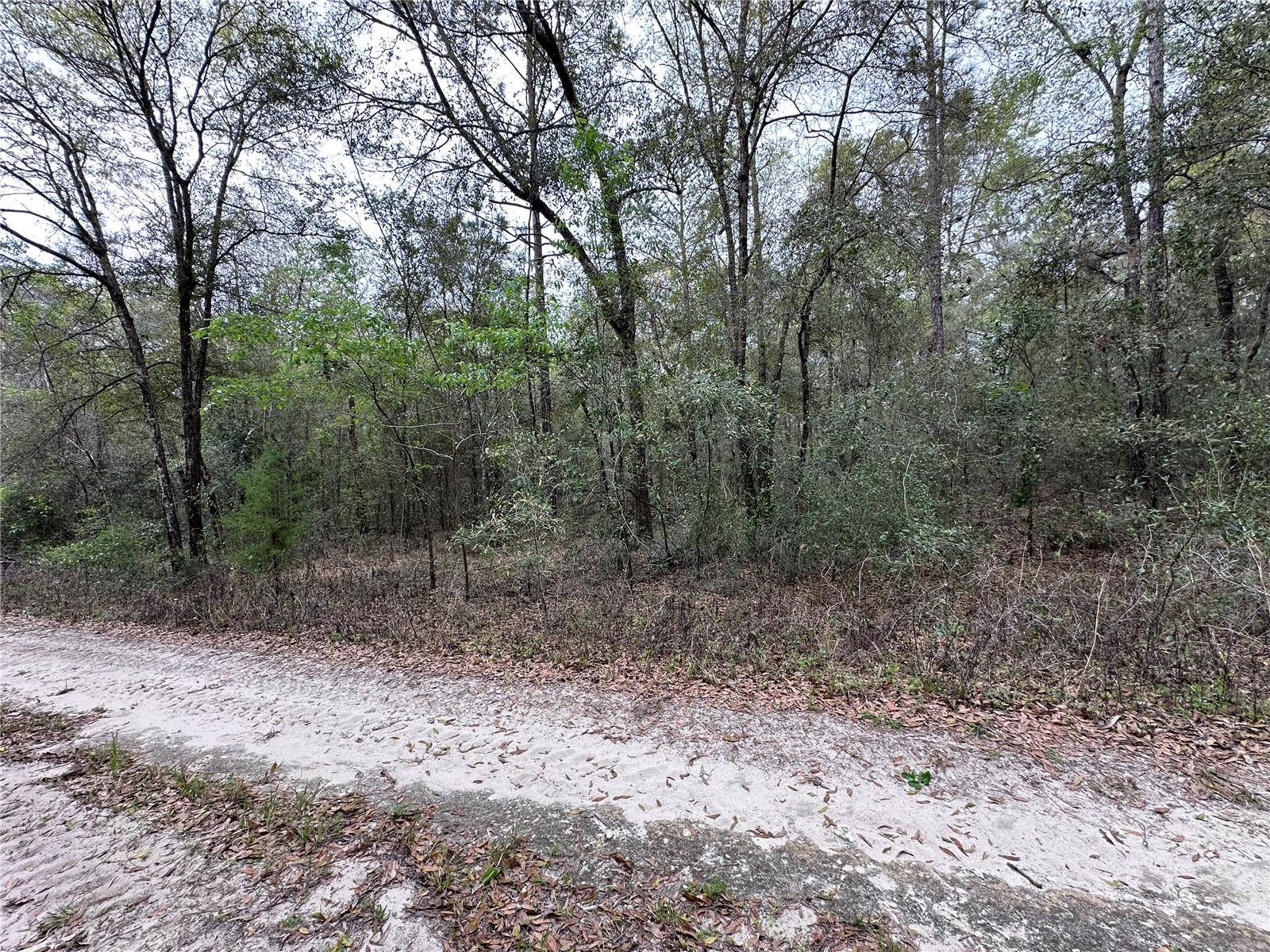 176 NE 155TH CT, WILLISTON, FL — photo 3