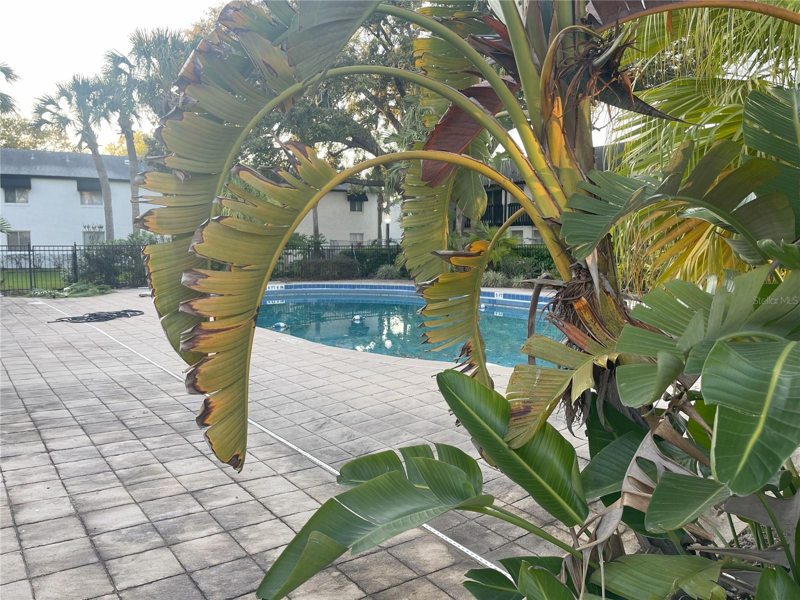 4419 S SEMORAN BLVD #7, ORLANDO, FL — photo 26