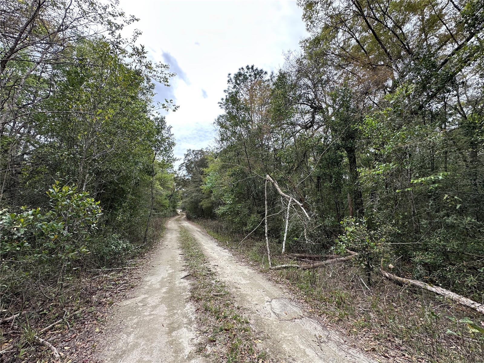 tbd NE 154TH TER, WILLISTON, FL — photo 2