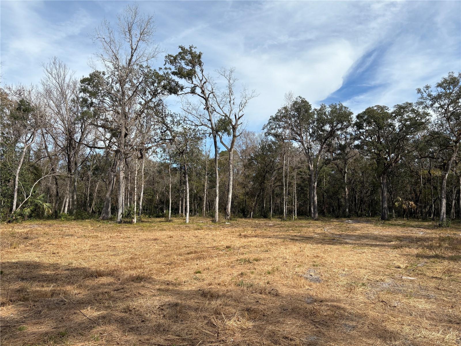 LAKE LINDSEY RD, BROOKSVILLE, FL — photo 2