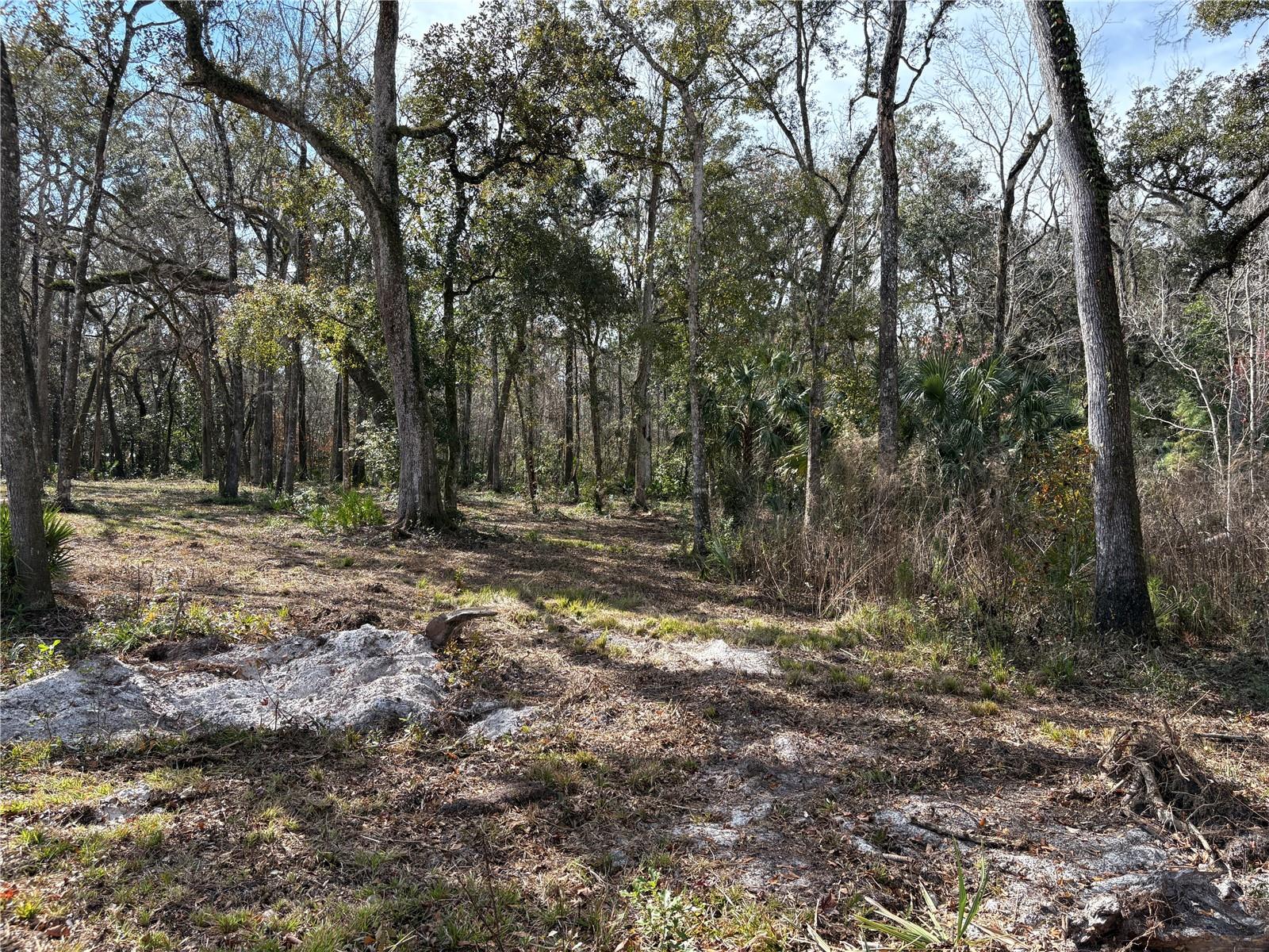 LAKE LINDSEY RD, BROOKSVILLE, FL — photo 5