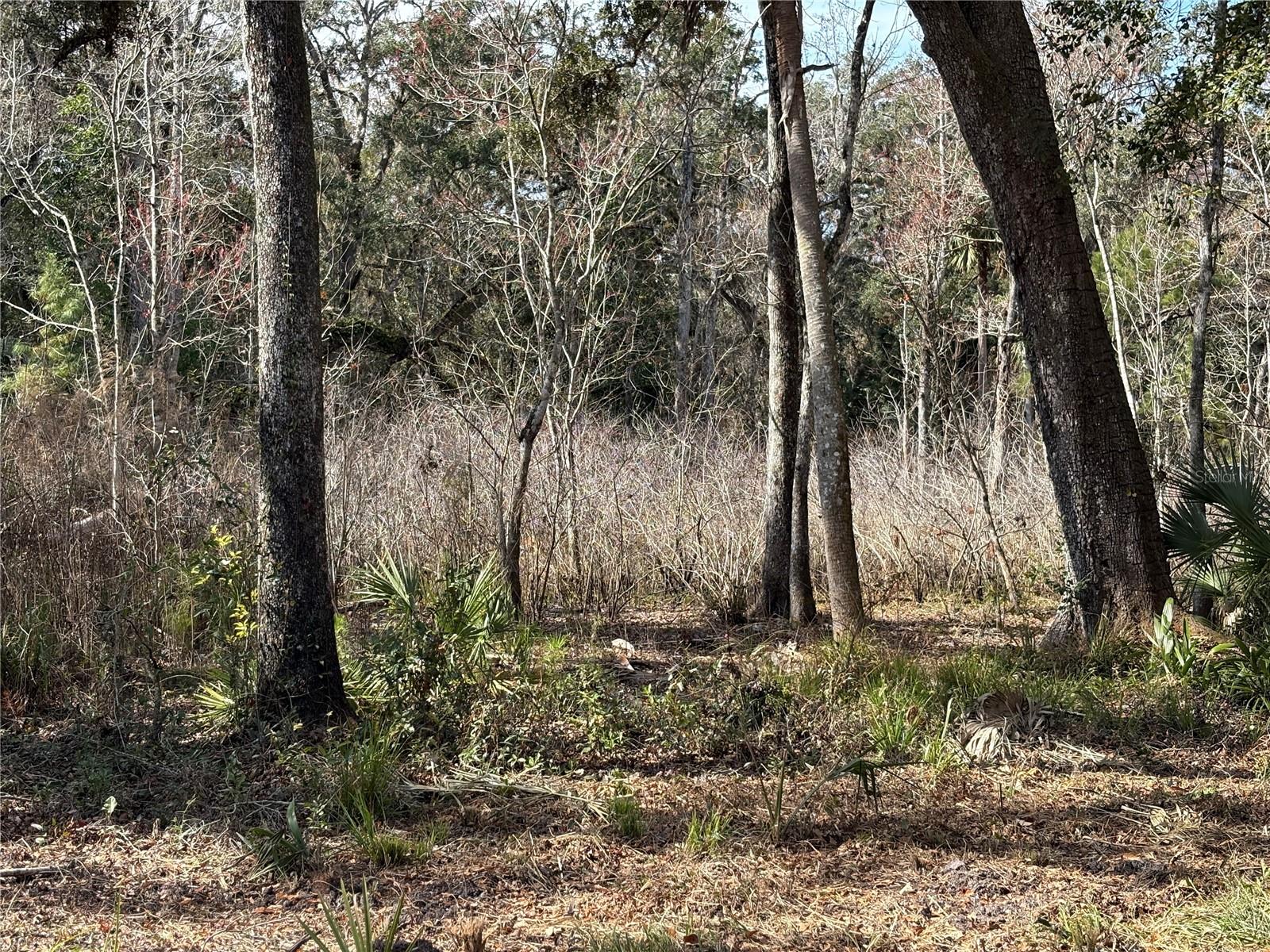 LAKE LINDSEY RD, BROOKSVILLE, FL — photo 6
