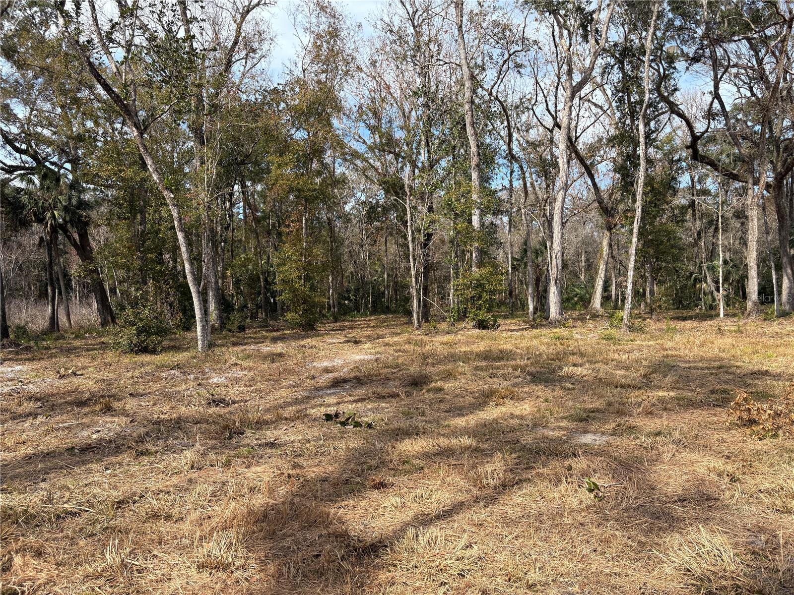 LAKE LINDSEY RD, BROOKSVILLE, FL — photo 7