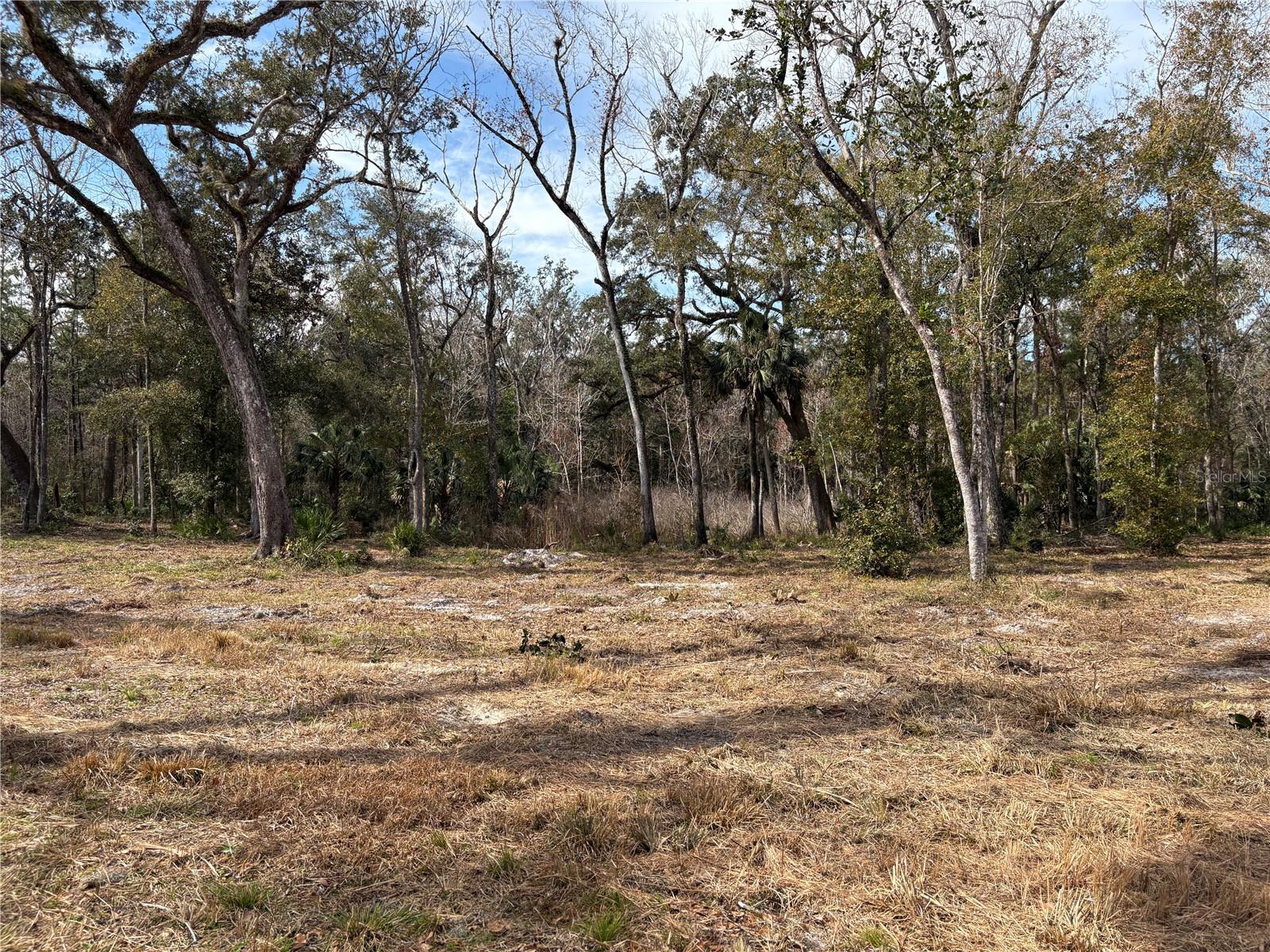LAKE LINDSEY RD, BROOKSVILLE, FL — photo 8