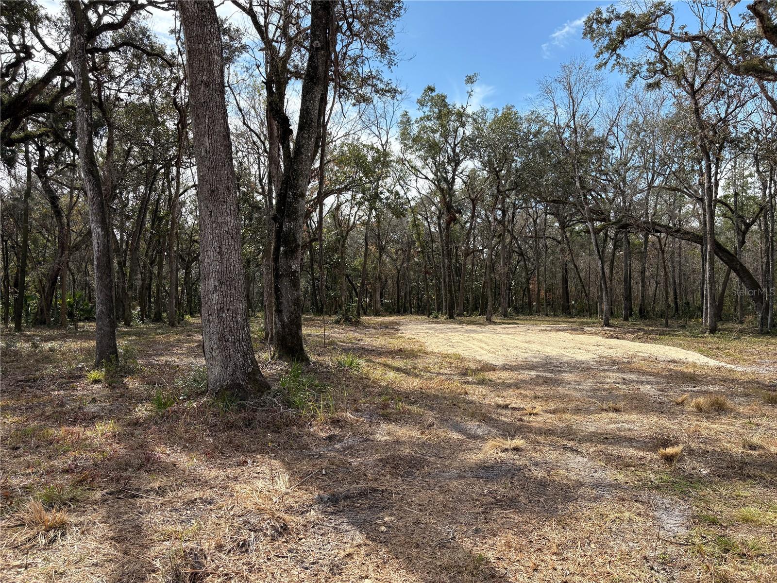 LAKE LINDSEY RD, BROOKSVILLE, FL — photo 10