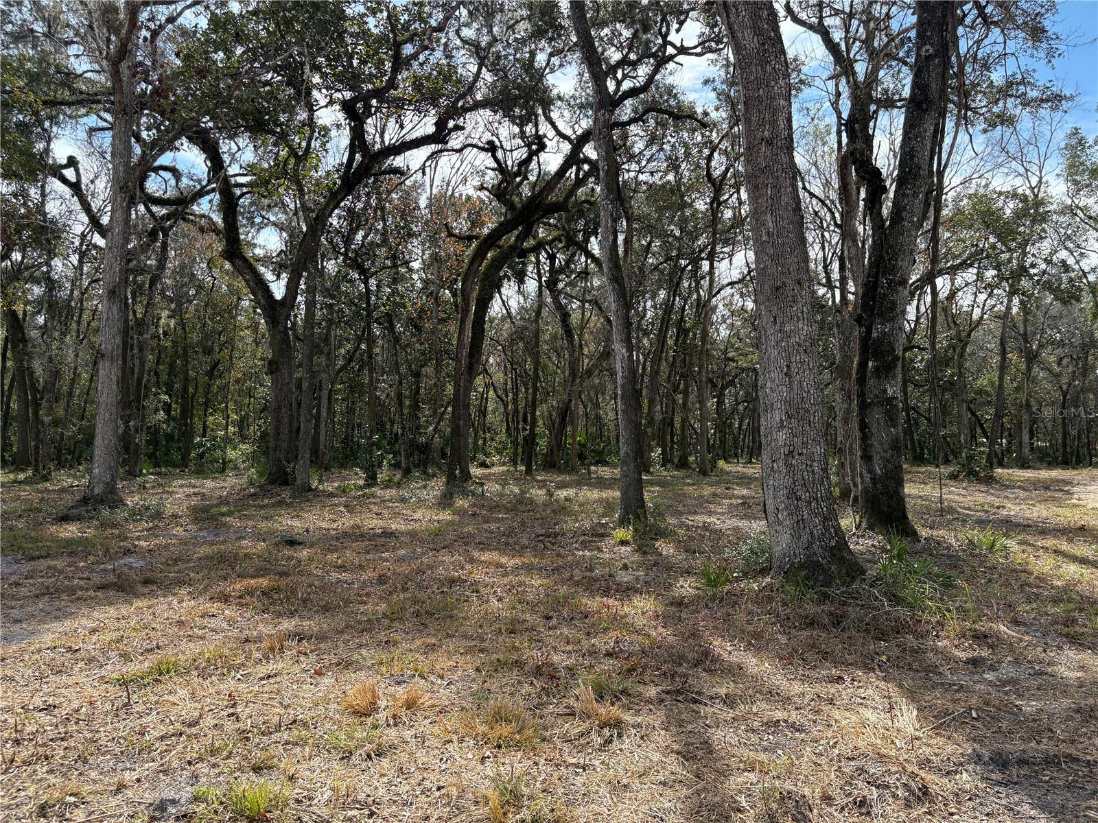 LAKE LINDSEY RD, BROOKSVILLE, FL — photo 11