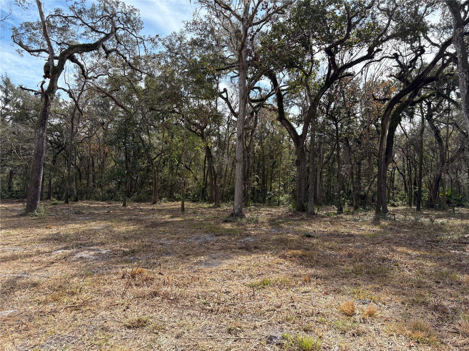 LAKE LINDSEY RD, BROOKSVILLE, FL — photo 12