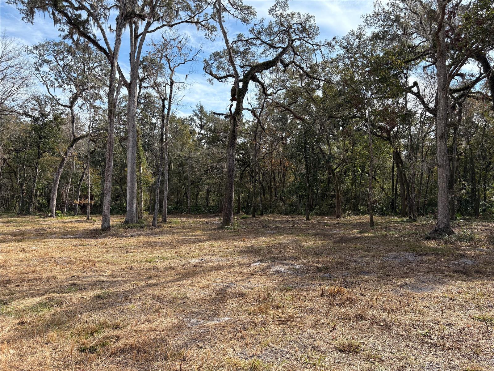 LAKE LINDSEY RD, BROOKSVILLE, FL — photo 13