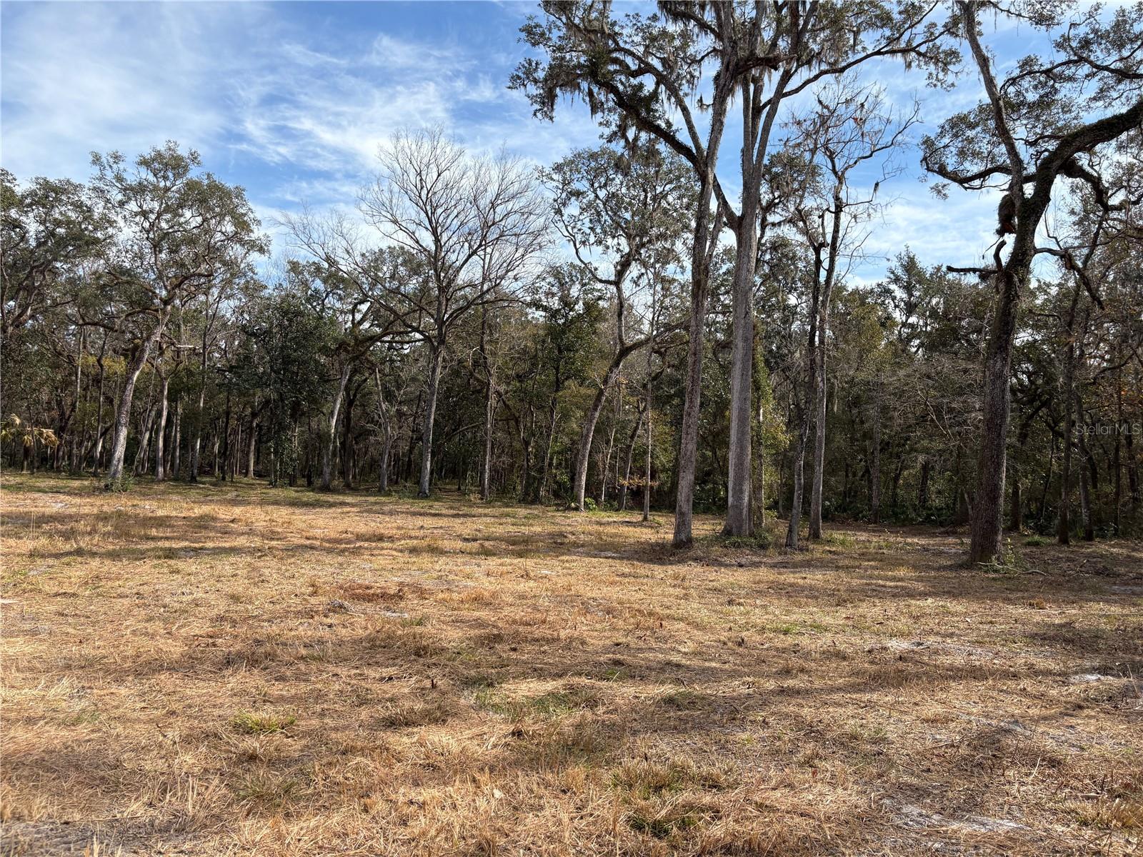 LAKE LINDSEY RD, BROOKSVILLE, FL — photo 14
