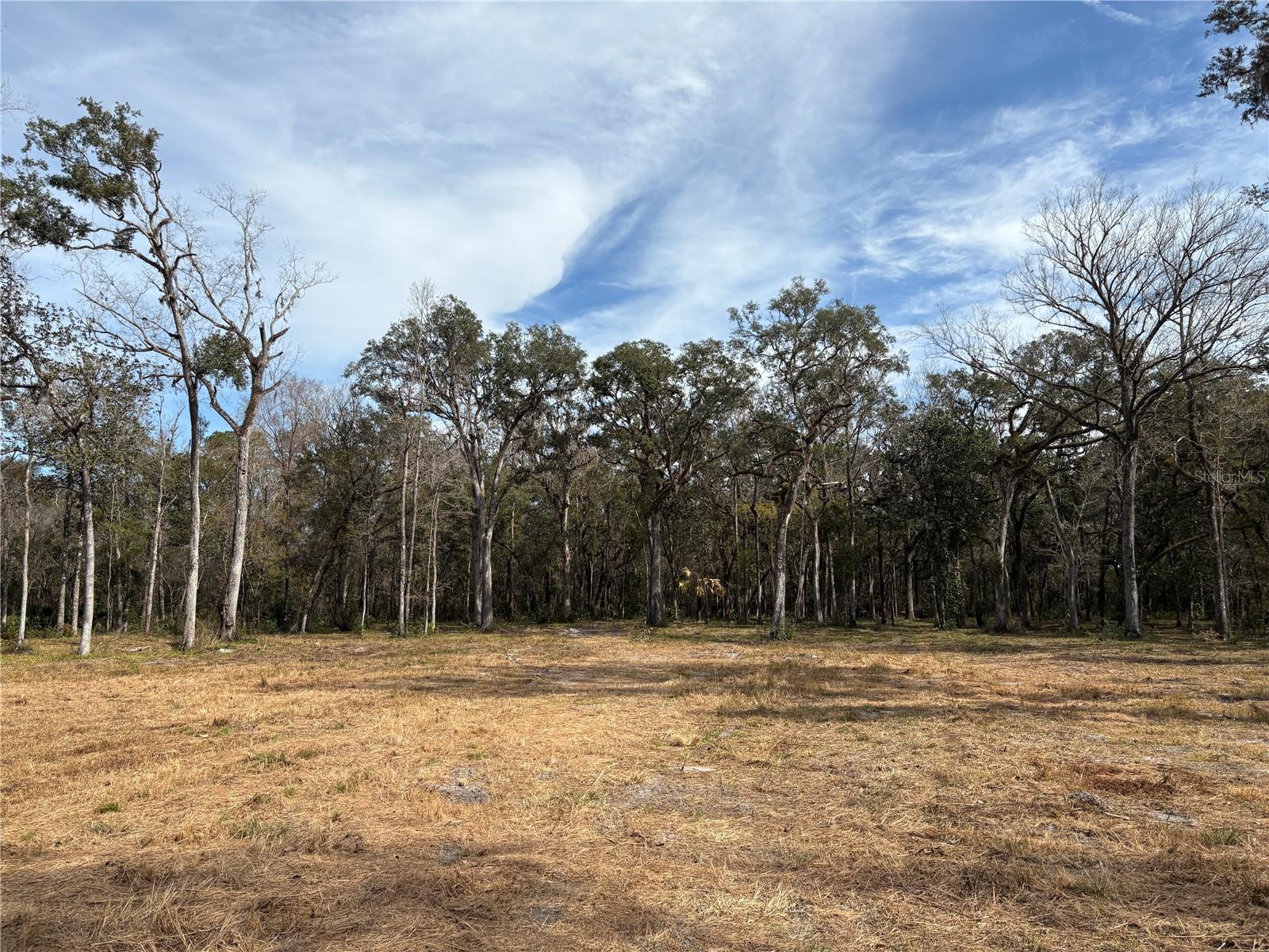 LAKE LINDSEY RD, BROOKSVILLE, FL — photo 15