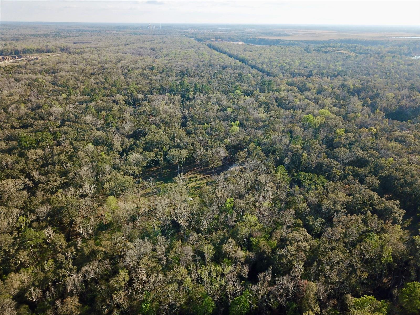 LAKE LINDSEY RD, BROOKSVILLE, FL — photo 21