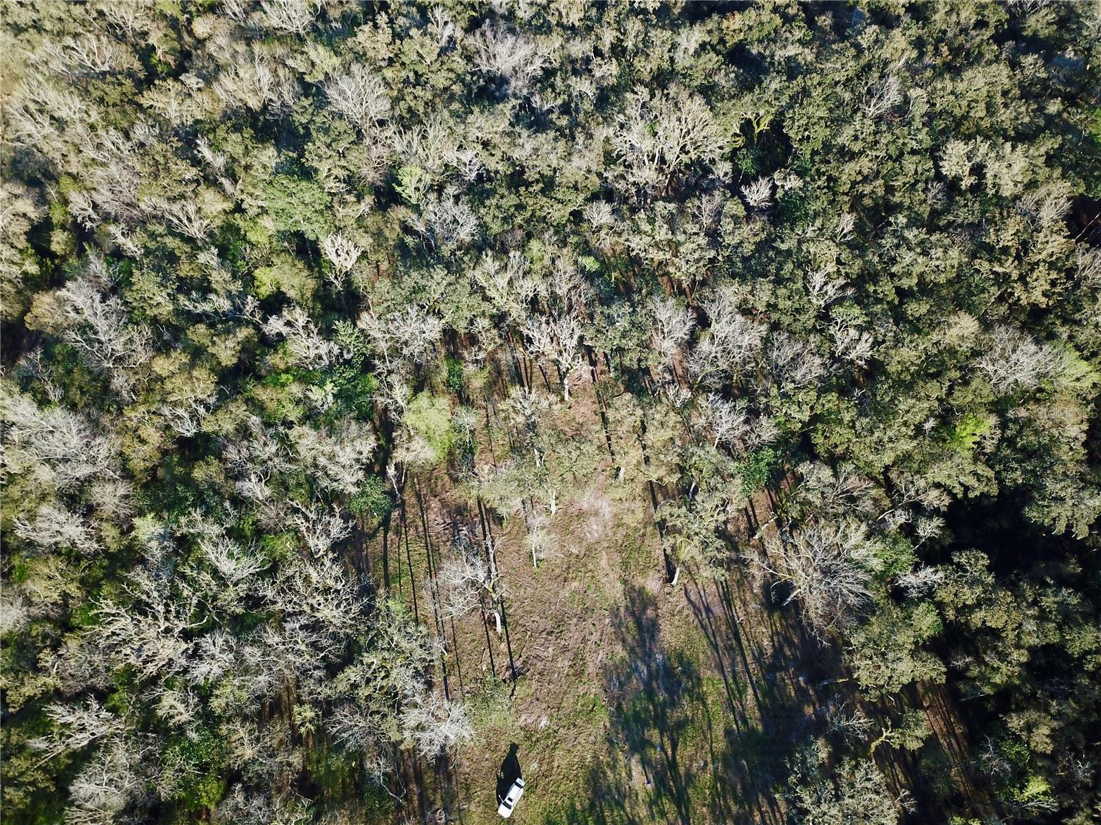 LAKE LINDSEY RD, BROOKSVILLE, FL — photo 22