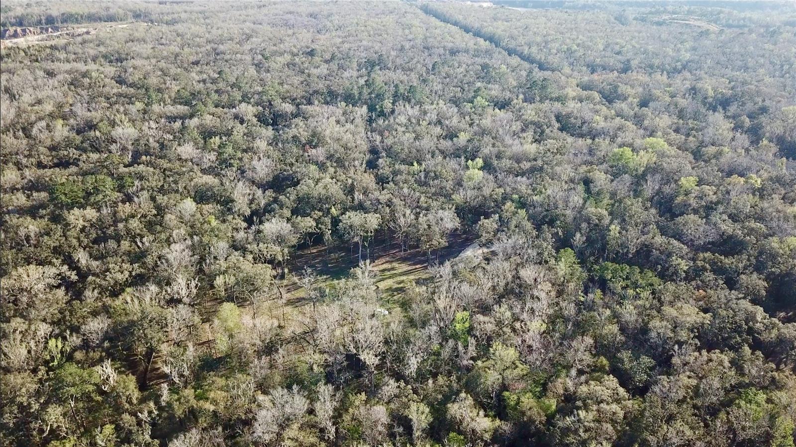 LAKE LINDSEY RD, BROOKSVILLE, FL — photo 25