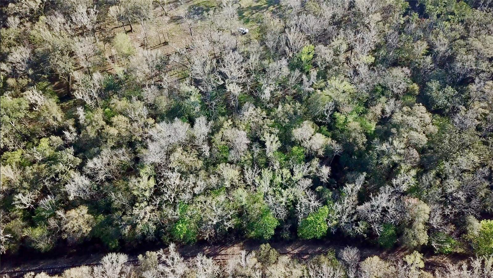 LAKE LINDSEY RD, BROOKSVILLE, FL — photo 26