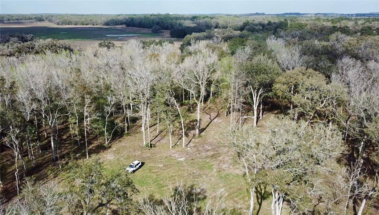 LAKE LINDSEY RD, BROOKSVILLE, FL — photo 29