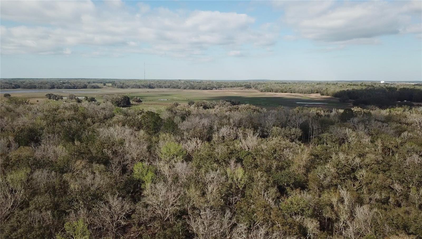 LAKE LINDSEY RD, BROOKSVILLE, FL — photo 30
