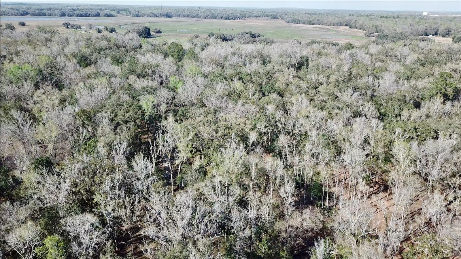 LAKE LINDSEY RD, BROOKSVILLE, FL — photo 32