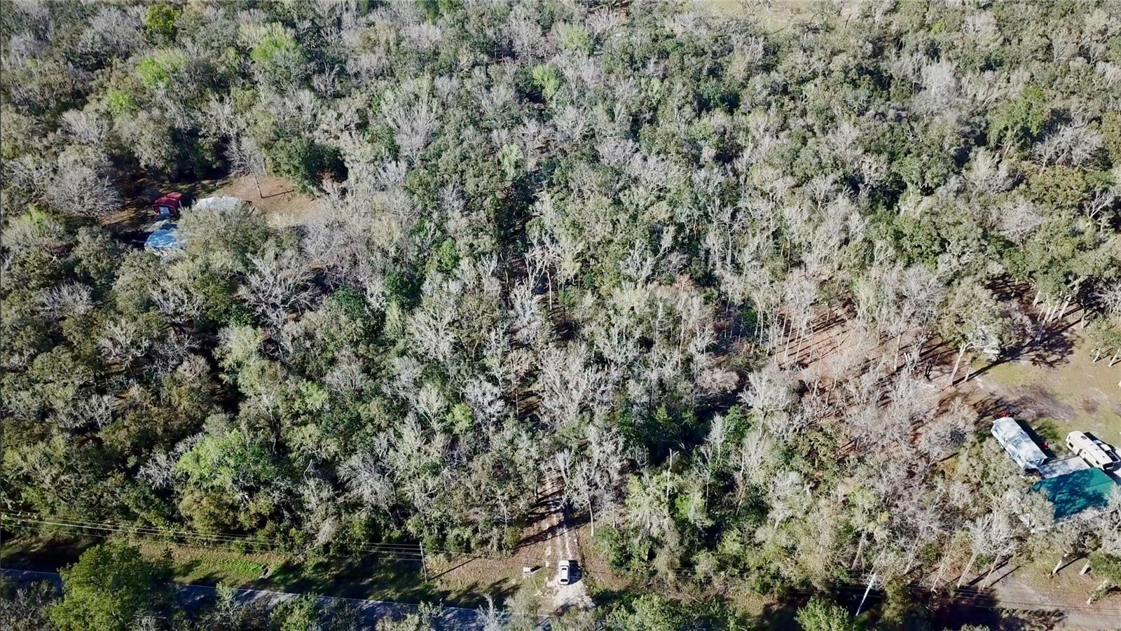 LAKE LINDSEY RD, BROOKSVILLE, FL — photo 34