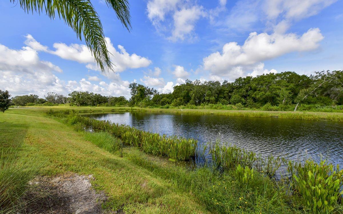 5930 CESSNA RUN, BRADENTON, FL — photo 46