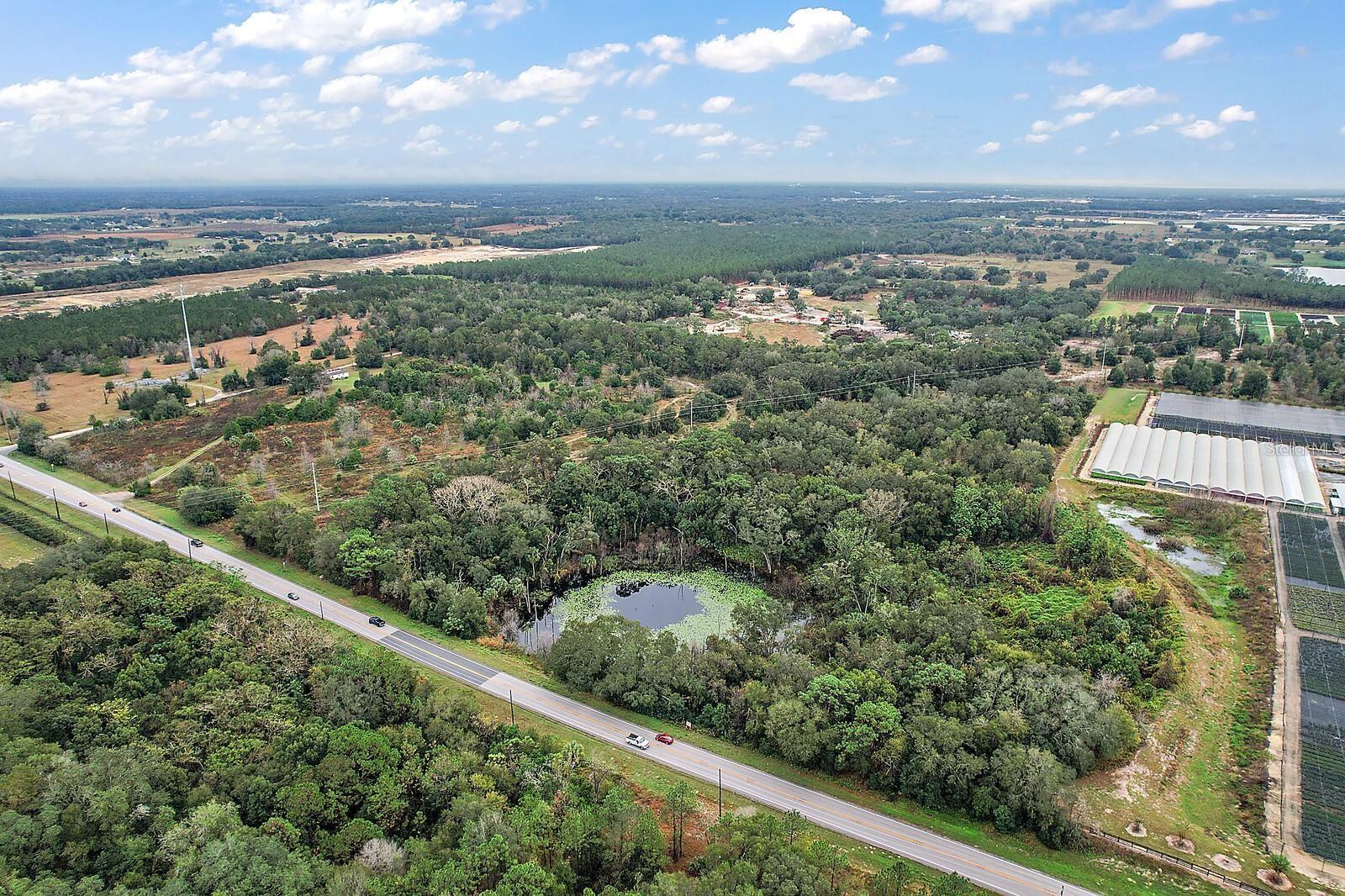 34305 RIORDAN RD, EUSTIS, FL — photo 7