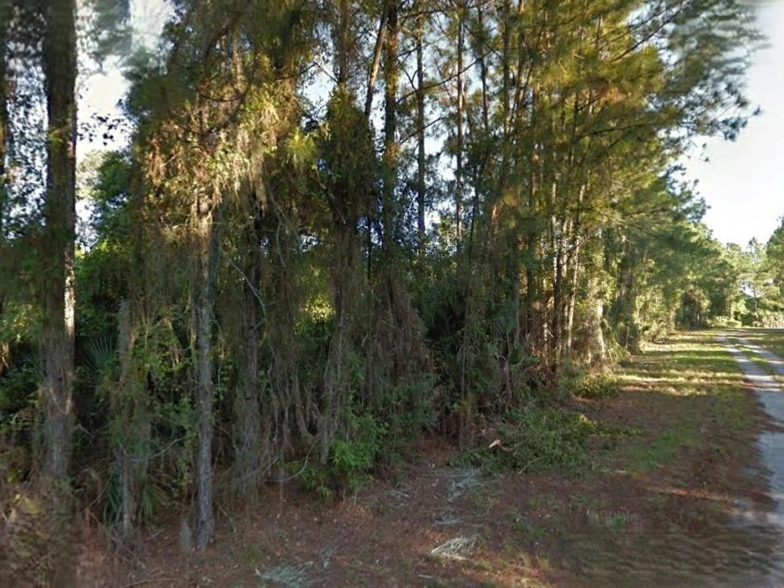 LUTZ RD, NORTH PORT, FL — photo 3