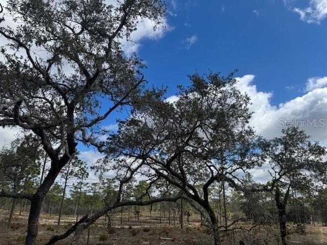 SE STATE ROAD 121 LOT A & B, MORRISTON, FL — photo 13