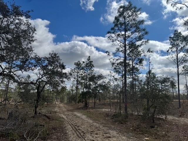 SE STATE ROAD 121 LOT A & B, MORRISTON, FL — photo 15