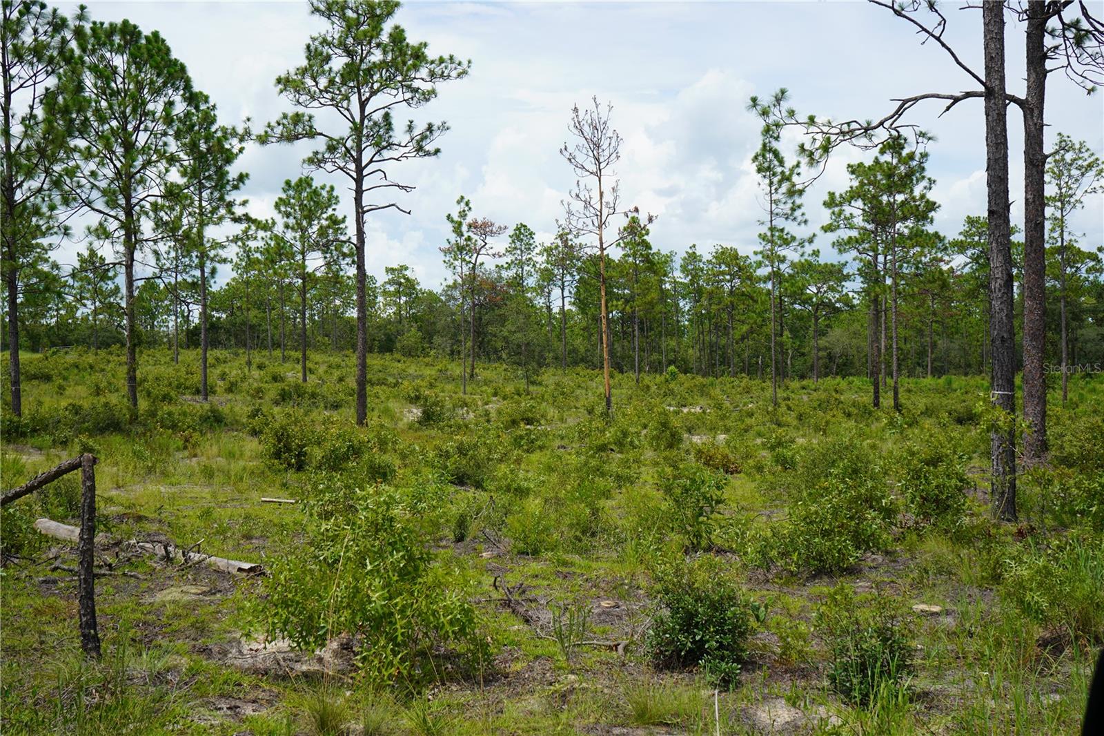 SE STATE ROAD 121 LOT A & B, MORRISTON, FL — photo 14